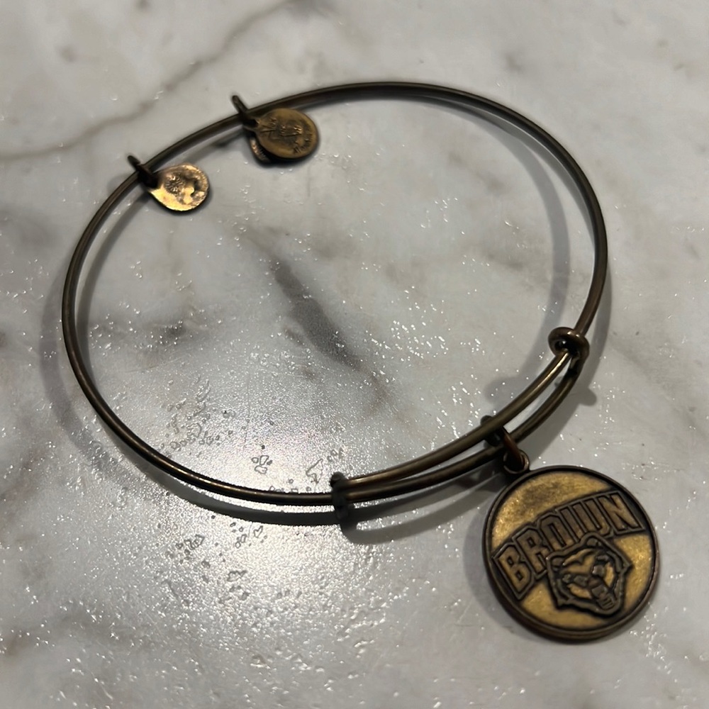 Brown Alex and Ani Bracelet